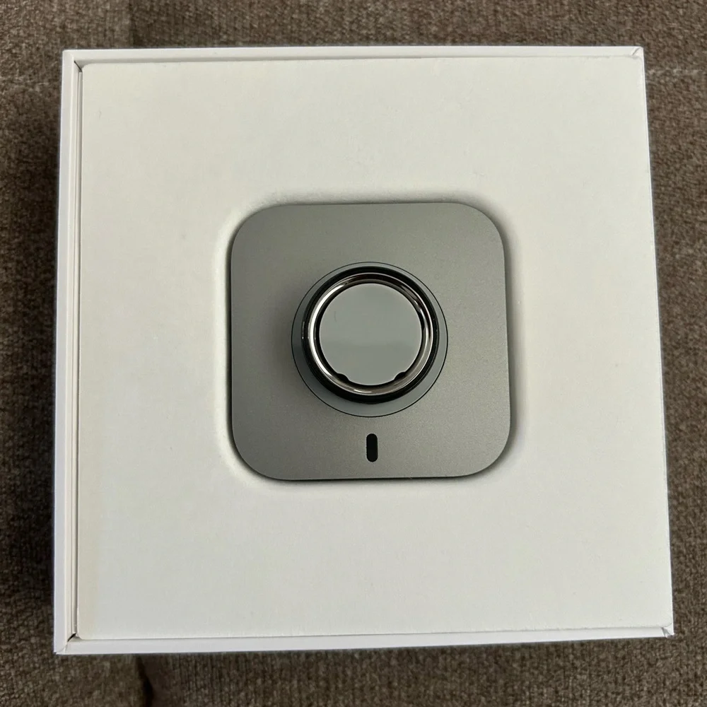 Oura sleek ring